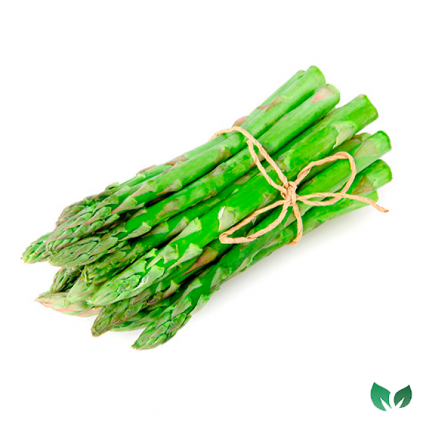 ASPARGO VERDE UN