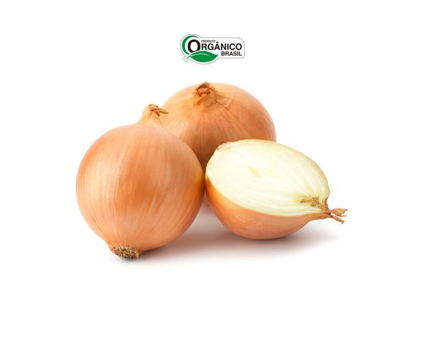 CEBOLA 500G ORGANICO
