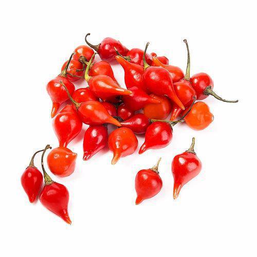 PIMENTA BIQUINHO BDJ UN