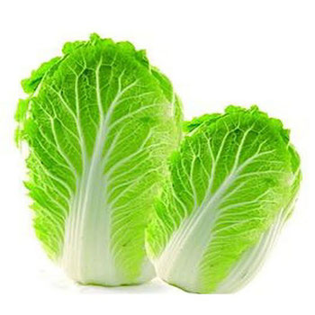 ACELGA SHIMODA 250G HIGIENIZADO