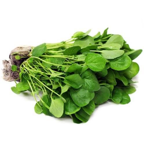 AGRIAO BABY CIA DAS FOLHAS UN