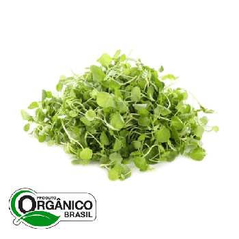 AGRIAO CAMINHO DA ROCA 100G ORG