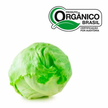 ALFACE AMERICANA CAISP  ORG BDJ