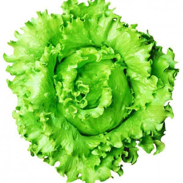 ALFACE AMERICANA CAPELA 250G