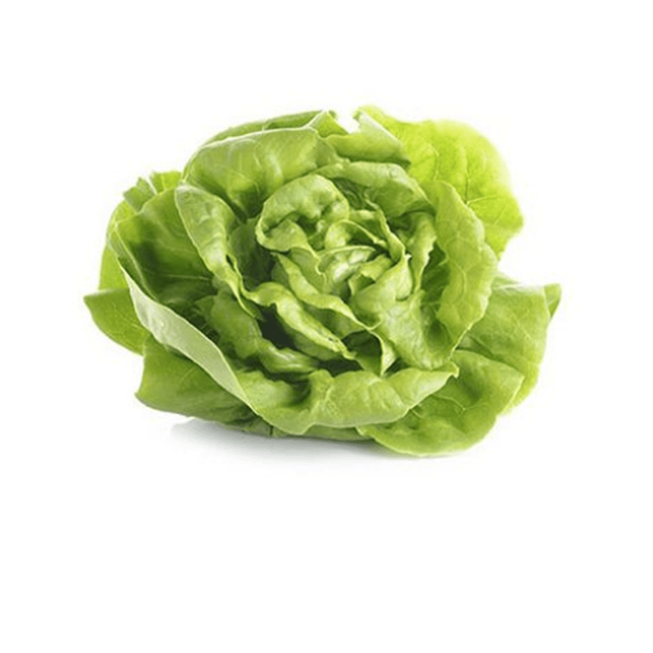 ALFACE BABY 150G LISA VERDE