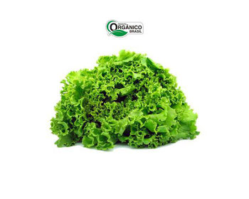 ALFACE CRESPA CAMINHO DA ROÇA ORG