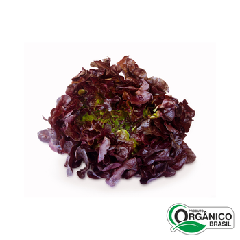 ALFACE CRESPA ROXA ORG CAISP 80G