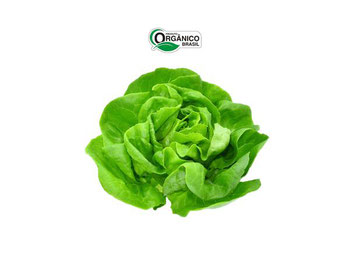 ALFACE LISA CAMINHO DA ROCA 180G ORG