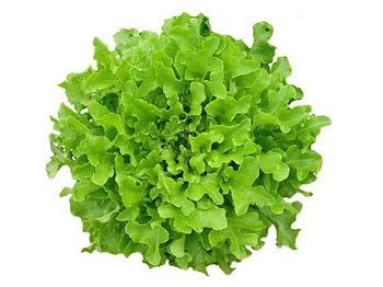 ALFACE MIMOSA CAMINHO DA ROCA 180G ORG