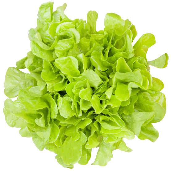 ALFACE MIMOSA HIDRO UN