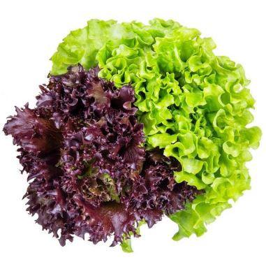 ALFACE VERDE E ROXA SHIMODA 150G HIG