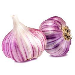 ALHO PREMIUM GRANEL KG