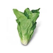 ALMEIRAO P.ACUCAR CAMINHO DA ROCA ORG UN