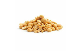 AMENDOIM S/ PELE TORRADO E SALG 300G