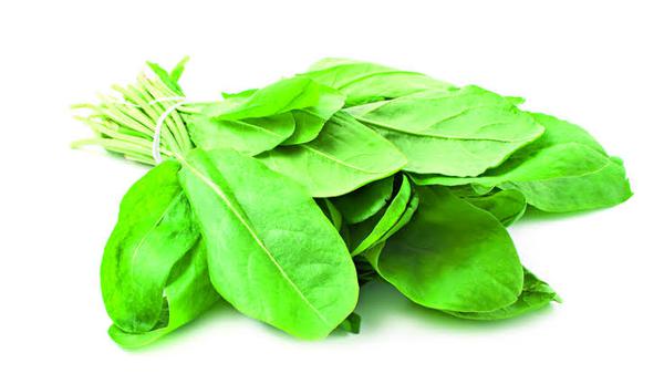 AZEDINHA CAMINHO DA ROCA ORG UN