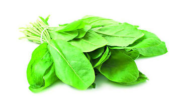 AZEDINHA CAMINHO DA ROCA ORG UN