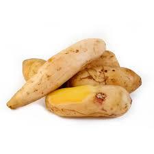 BATATA YACON 600G ORGANICA