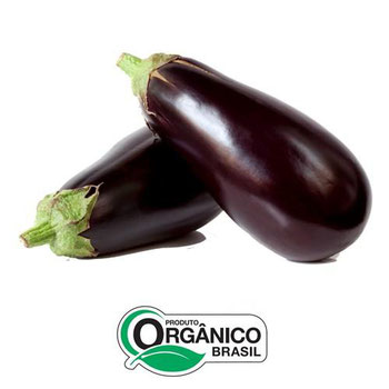 BERINJELA BEE 400G ORG