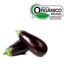 BERINJELA CAMINHO DA ROCA 600G ORG