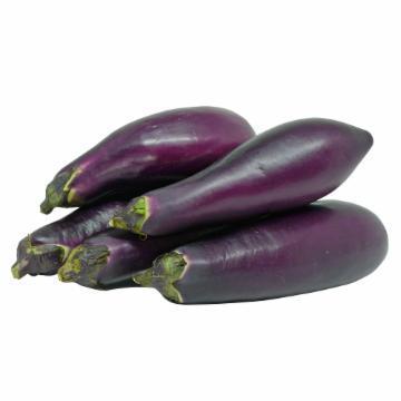 BERINJELA JAPONESA KG