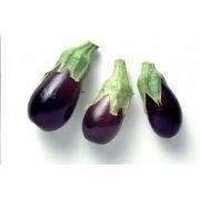 BERINJELA MINI KG