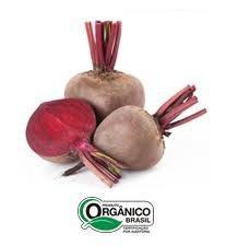 BETERRABA CAISP 600G