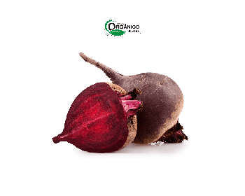 BETERRABA CAMINHO DA ROCA 600G ORG