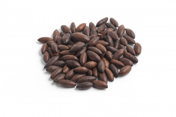 CASTANHA DE BARU TOR. SALG. 300G