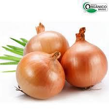 CEBOLA NAC BEE 600G ORG