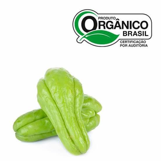 CHUCHU CAMINHO DA ROCA 600G ORG