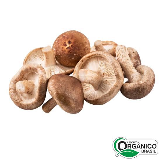 COG SHITAKE VILLA BARRICHELLO 200G ORG