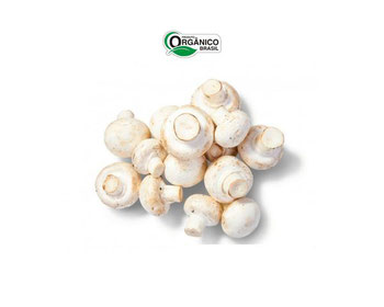 COGUMELO PARIS BEE 200G ORG