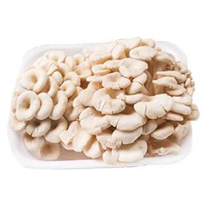 COGUMELO SHIMEJI CHUANG 200G BRANCO