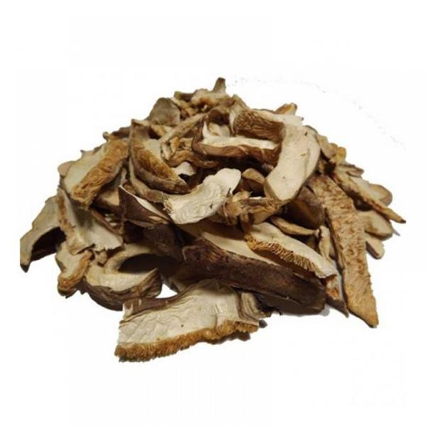 COGUMELO SHITAKE DESIDRATADO 50G
