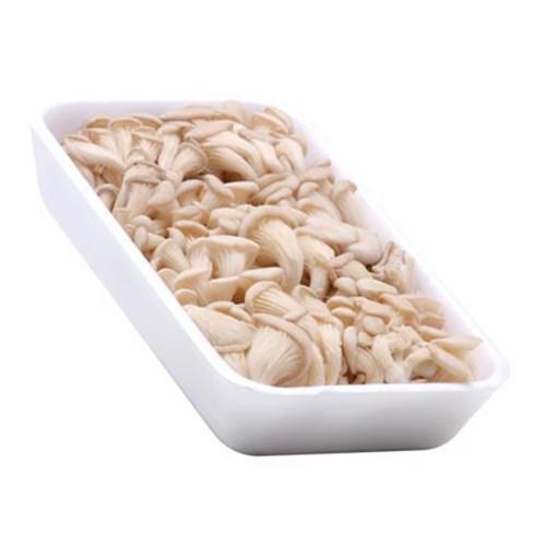 COGUMELO ZUCCA 200G SHIMEJI BRANCO