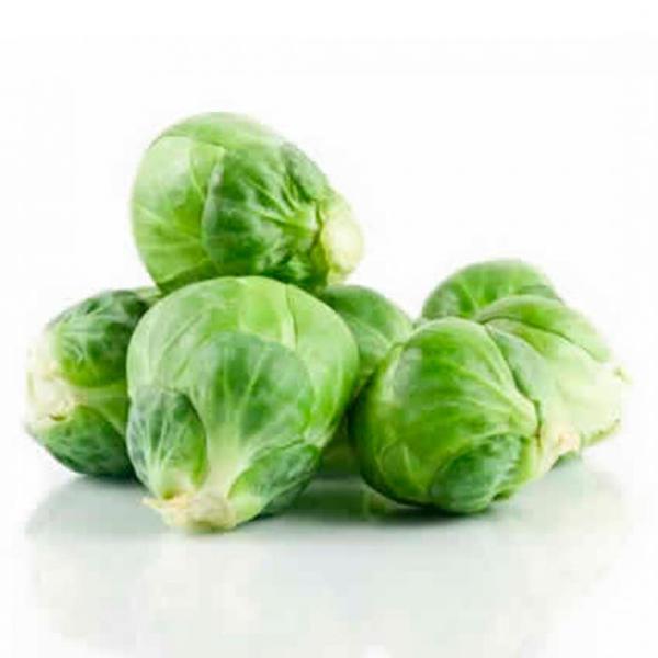 COUVE DE BRUXELAS 200GR UN