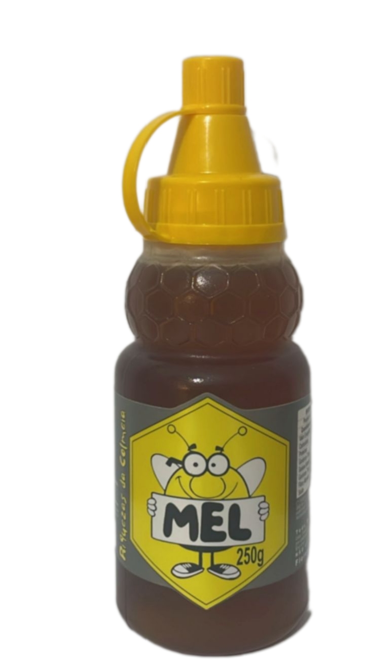 MEL APIARIO BREDA 250G SILVESTRE