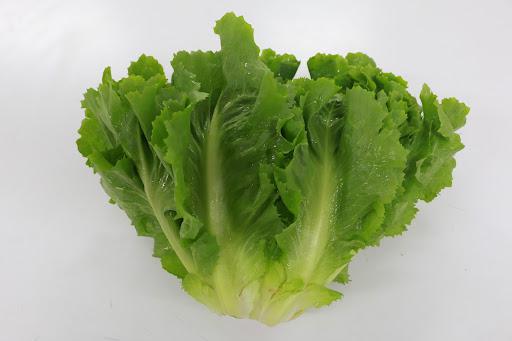 ESCAROLA HIGIENIZADA 150G UND