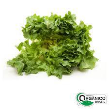 ESCAROLA ORGANICA CAISP 200G