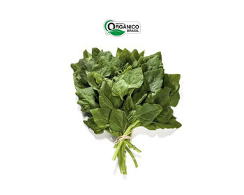 ESPINAFRE CAMINHO DA ROCA 180G ORG