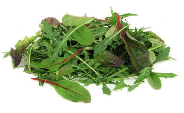 FOLHA BETERRABA BABY CIA DAS FOLHAS UN