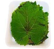 FOLHA DE UVA CONSERVA  KG