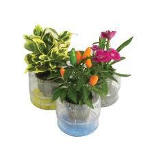 HIDRO CULTURA SALLAND und