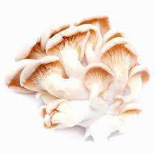 HIRATAKE CHUANG 200G FRESCO