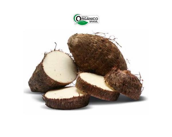 INHAME CAMINHO DA ROCA 500G ORG