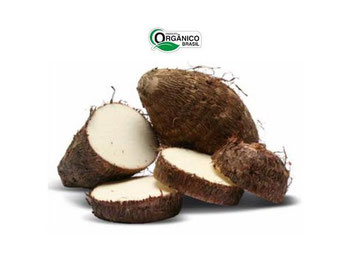 INHAME CAMINHO DA ROCA 500G ORG