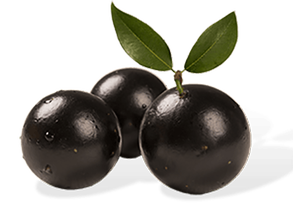 JABUTICABA 1KG BDJ