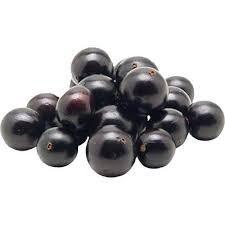 JABUTICABA KG