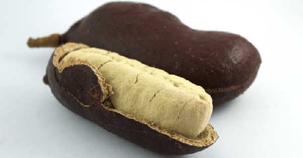 JATOBA KG