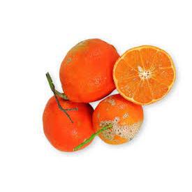 LIMAO ROSA CAPELA 500G